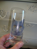 Set vintage glazen met Brits korthaar katten