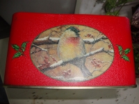 Rood bewaarblik met vogels Kerst