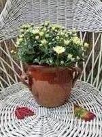 Franse confit pot bruin glazuur
