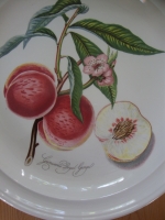 Portmeirion saladebord Pomona