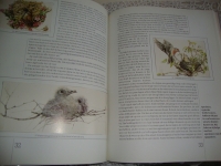 Marjolein Bastin Libelle vogelalbum