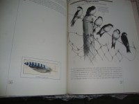 Marjolein Bastin Libelle vogelalbum