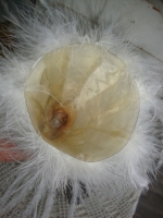 porselein engel met veren