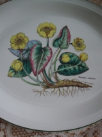 Vintage Wedgwood schaal Florabunda