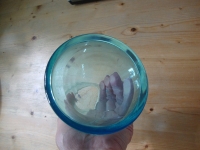 vintage turquoise hyacinten glas