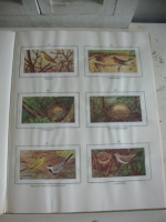 compleet Verkade plaatjesalbum Lente
